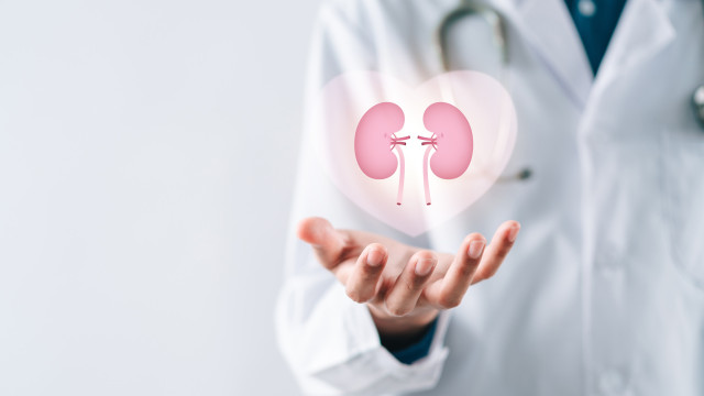 Mitos e verdades sobre o cancro do rim: Oncologista desvenda tudo
