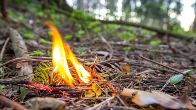 Mais de 30 concelhos de seis distritos em perigo máximo de incêndio