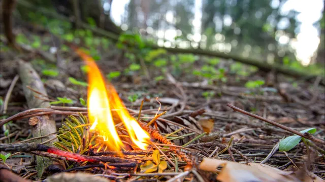 Mulher detida pela GNR por suspeita de atear fogo florestal em Viseu