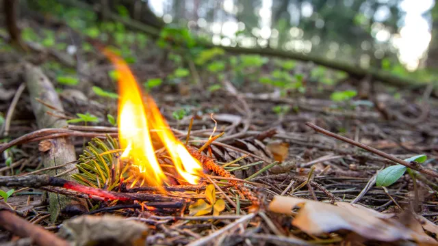
                    Incêndio numa escola em Coruche obriga a retirar alunos das salas
                