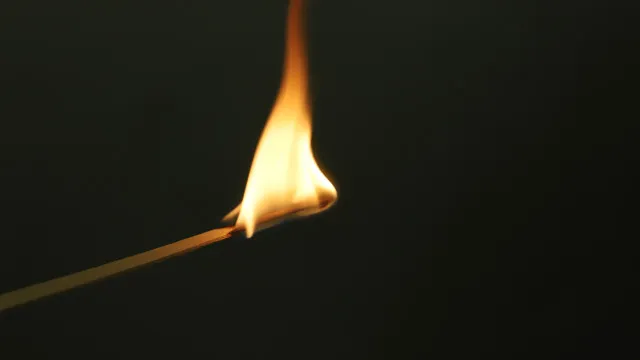 
                    Homem detido por atear dois fogos no mesmo dia na Figueira da Foz
                