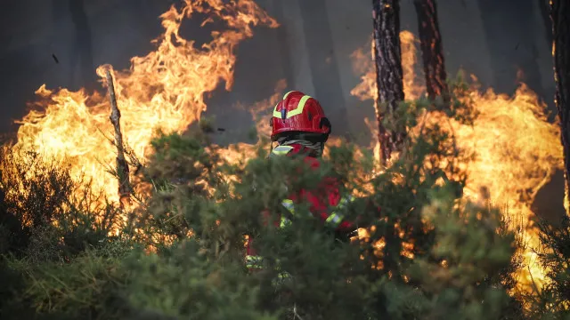 
                    Incêndios: Sub-região da Grande Lisboa mantém dispositivo de combate
                