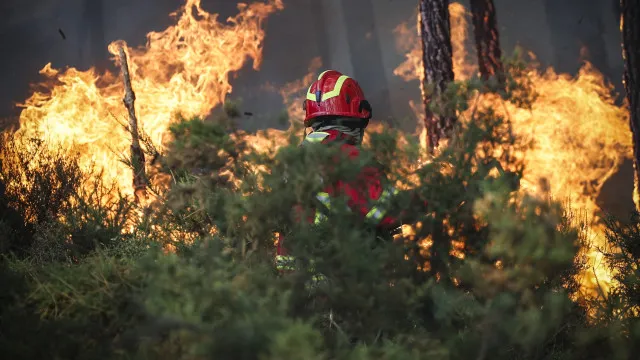 
                    Mais de 130 bombeiros combatem chamas no concelho do Montijo
                