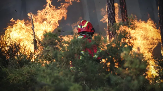 
                    Bombeiros da Madeira combateram incêndio em mato junto a casas no Funchal
                