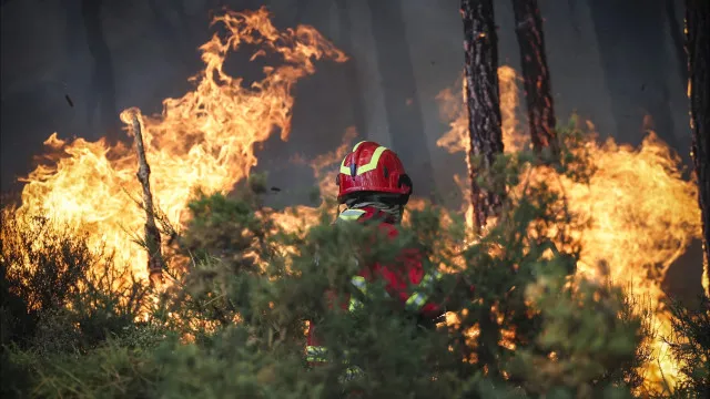 
                    Dois fogos em Carrazeda de Ansiães mobilizam 330 operacionais
                