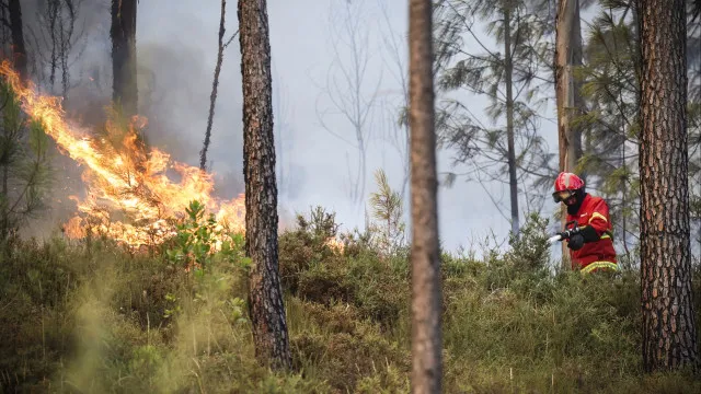 
                    Fogo em Valpaços mobiliza mais de 400 operacionais e corta EN206
                