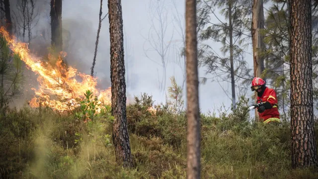 
                    Fogo que deflagrou em Boticas em resolução: 