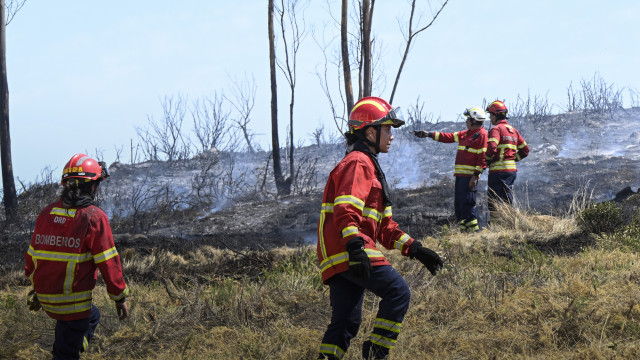 País está em risco máximo ou muito elevado de incêndio. Máximas nos 40ºC