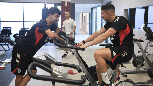 Aí está ele. As primeiras imagens de Franjo Ivanovic no Benfica Campus