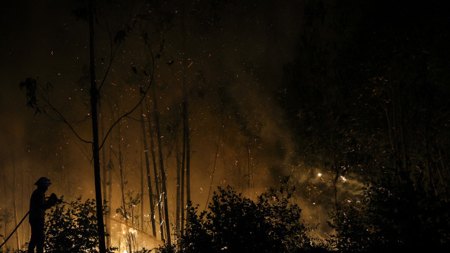 Incendiários? Perfil aponta para homens, com baixa literacia e alcoólicos