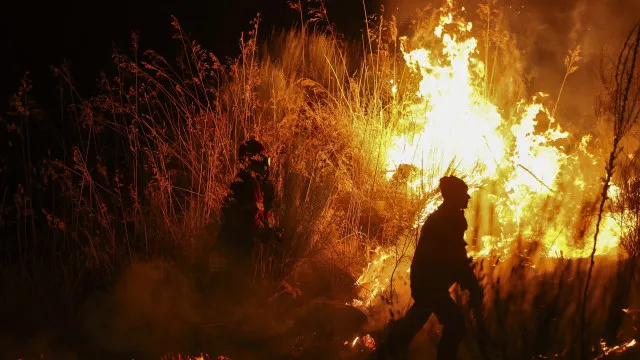 
                    Incêndio em armazém de reciclagem propaga-se a mato em Montemor-o-Novo
                