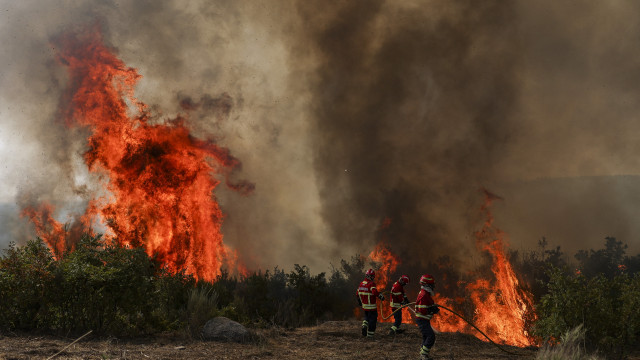 Fogos consumiram já 139 mil hectares, 17 vezes a área ardida em 2024