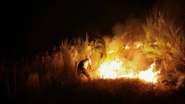 
                    Incêndios: Comandante sub-regional de Coimbra desconhece atos ilícitos
                