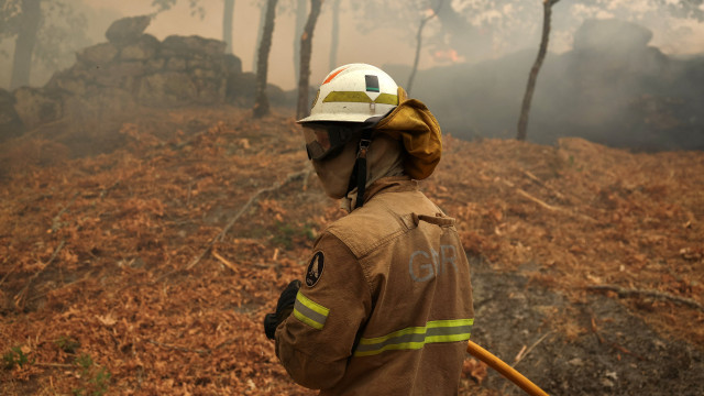 Duas casas destruídas pelas chamas em Oliveira do Hospital
