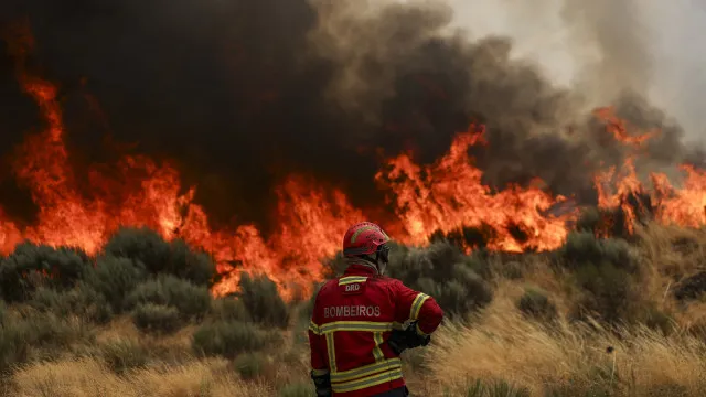 
                    Vários concelhos do continente em perigo de incêndio. E as temperaturas?
                