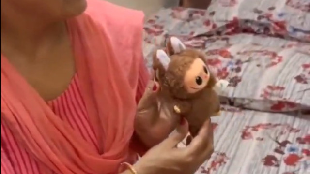 Mulher indiana viraliza após acreditar que Labubu é um 