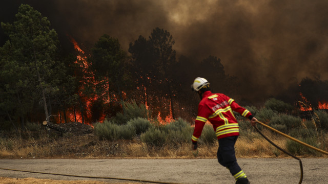 Incêndios voltam a matar. Quem era Carlos Dâmaso? E como reage o país?