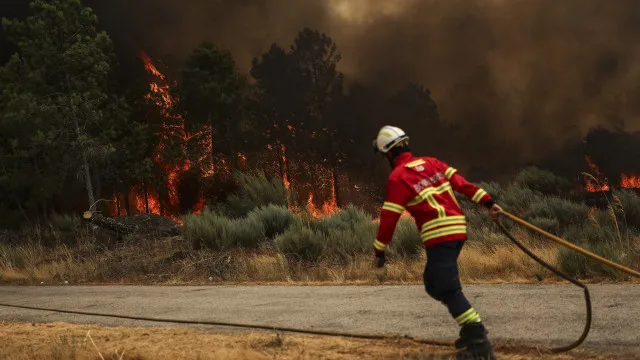 NÃ£o hÃ¡ vÃtimas portuguesas nos incÃªndios em FranÃ§a e Espanha