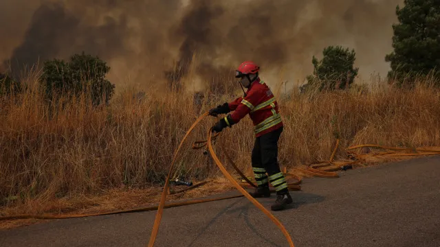 Uma centena de operacionais combatem fogo em Freixo de Espada à Cinta