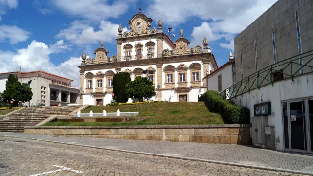 
                    Produtores de vinho e azeite em Mirandela com grandes prejuízos
                