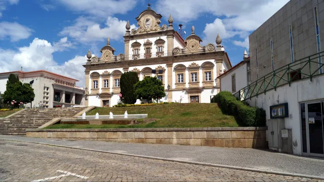 
                    Produtores de vinho e azeite em Mirandela com grandes prejuízos
                