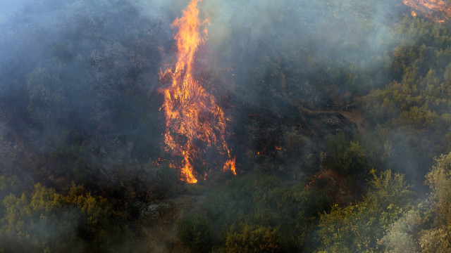 Apoios após incêndios? 