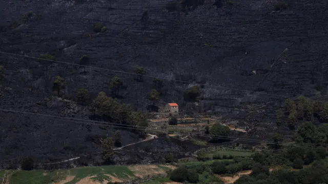 
                    Oito concelhos de Vila Real e Bragança em perigo máximo de incêndios
                