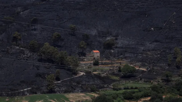 Detido por fogo provocado por trator com ceifeira em Aguiar da Beira
