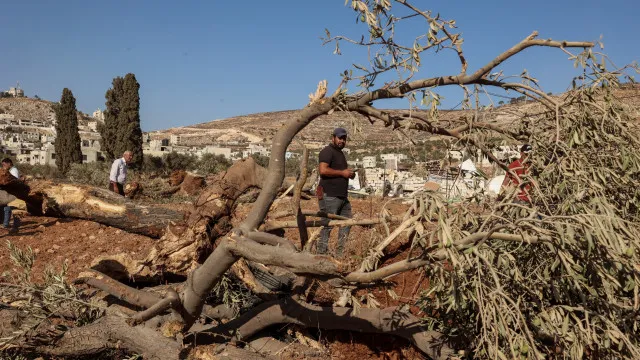 
                    Cinco países anunciam sanções contra colonos israelitas violentos
                