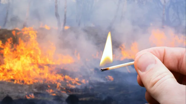 
                    PJ deteve suspeito de fogo em Amarante por desentendimentos com vizinhos
                