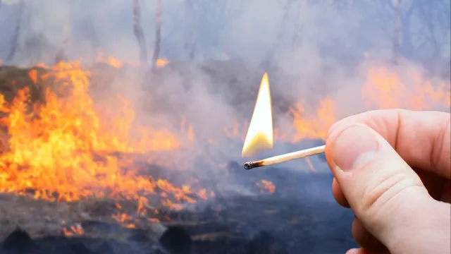 GNR jÃ¡ deteve mais de 130 pessoas por crime de incÃªndio