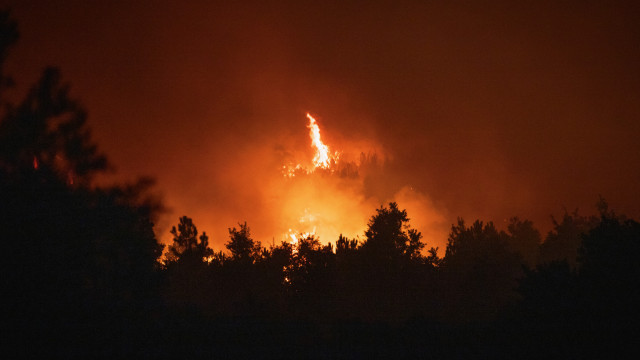 Sete operacionais ficaram feridos nos fogos na Guarda e Vila Verde