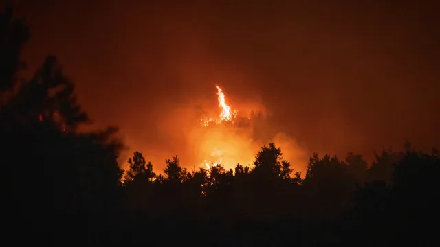
                    Forte vento e seca ameaçam agravar incêndios na Florida e Georgia
                