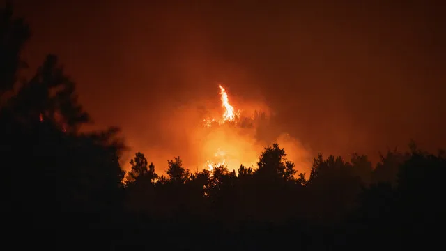 
                    Incêndios: Região de Leiria sem queimas e queimadas a partir de 2.ª-feira
                