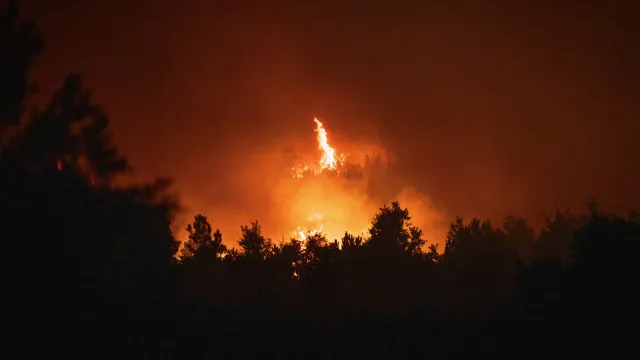 
                    Incêndios: Plataforma tecnológica ajuda proprietários a limpar terrenos
                