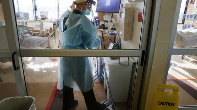 Fungo resistente a medicamentos se espalha rapidamente na Europa