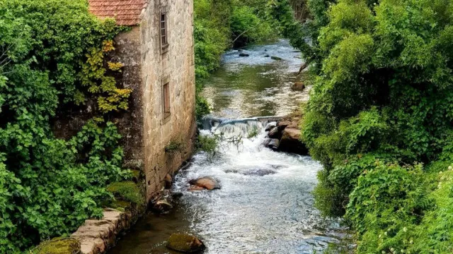 BE questiona Governo sobre medidas de proteção do rio Leça