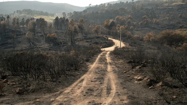 IncÃªndios: Retomada circulaÃ§Ã£o ferroviÃ¡ria na Linha do Vouga em Ã gueda