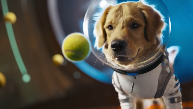OpenAI lançou a Sora, uma app rival do TikTok dedicada a vídeos de IA