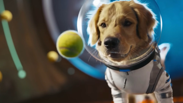 OpenAI lançou a Sora, uma app rival do TikTok dedicada a vídeos de IA