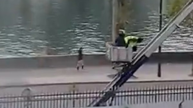 Novas imagens: Captado momento em que ladrões saem do Louvre