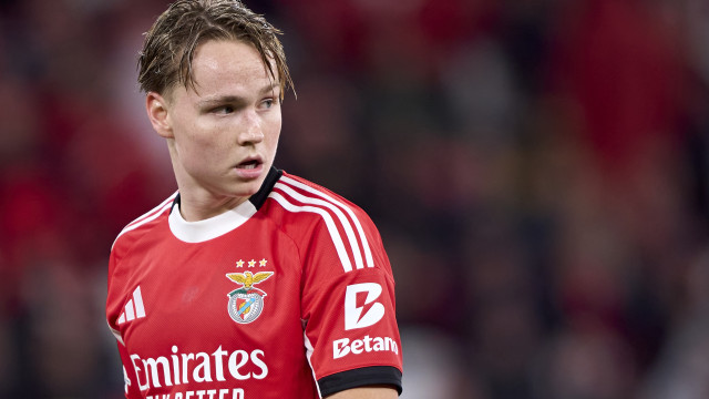 Schjelderup 'desaparece' no Benfica e futuro pode passar por Itália