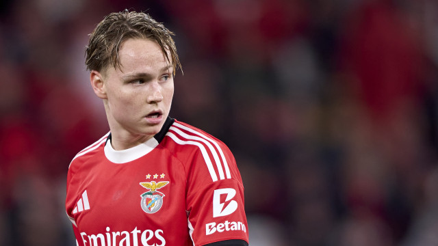 Schjelderup 'desaparece' no Benfica e futuro pode passar por Itália