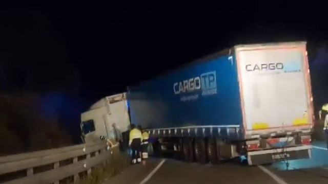 Espanha. Cão atravessa autoestrada e causa colisão entre pesado e carro