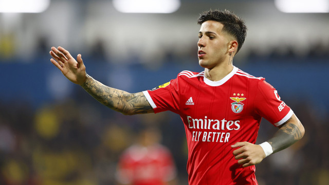 Enzo Fernandez assume: