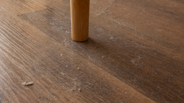 Quatro dicas para evitar que a casa fique cheia de pó nos meses frios