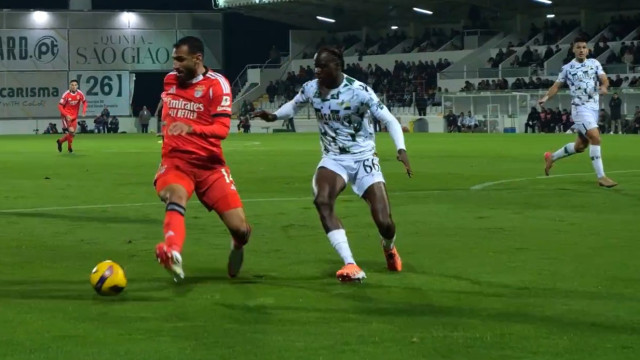 O lance em que Mourinho (e o Benfica) reclamam penálti sobre Pavlidis