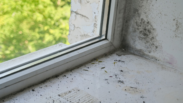 O truque escandinavo para pôr fim à humidade em casa. É simples e eficaz