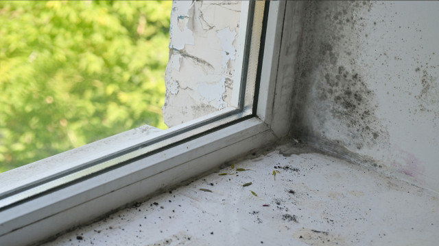 O truque escandinavo para pôr fim à humidade em casa. É simples e eficaz