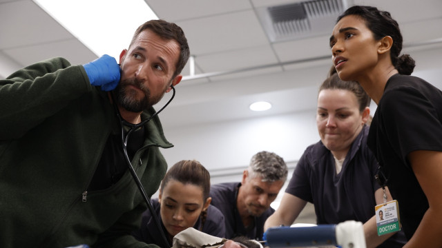 HBO Max. Eis as séries e filmes que pode ver este mês